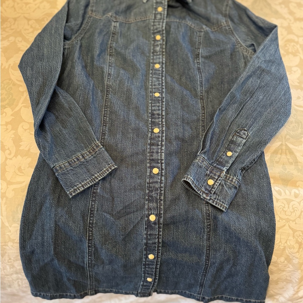 Lee Denim Shirt Dress in Dark Blue